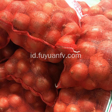 Bawang kuning segar 6-8cm